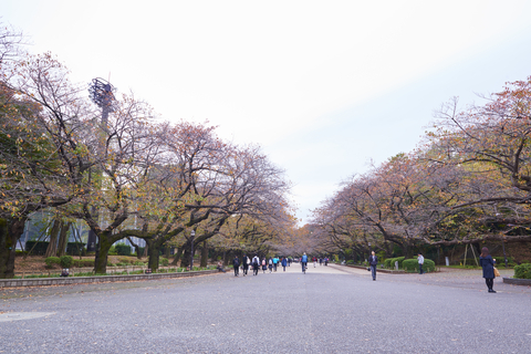 Parc Ueno avec arbres colorés